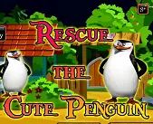 Rescue The Cute Penguin logo