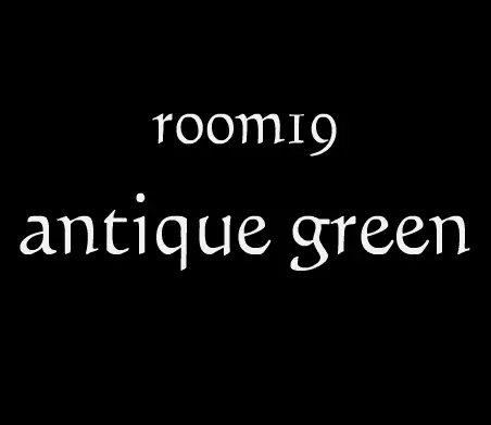 room19 antique green logo