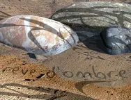 Samare logo