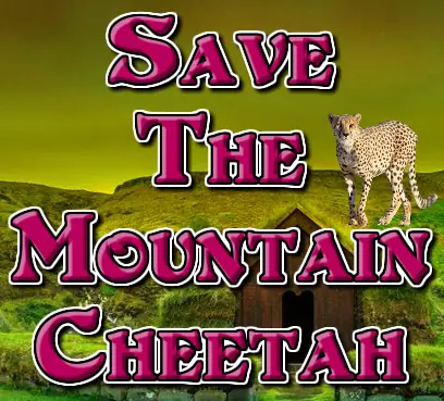 Save The Mountain Cheetah logo