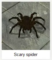 Scary Spider logo
