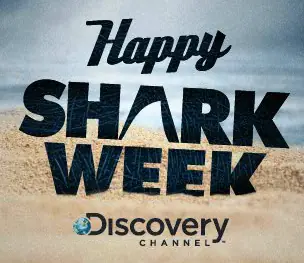 Shark Yourself logo