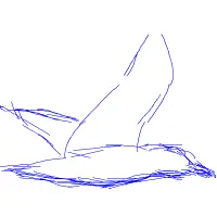 Sketch dump - birds logo