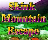 Skink Mountain Escape logo
