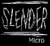 Slender Micro logo