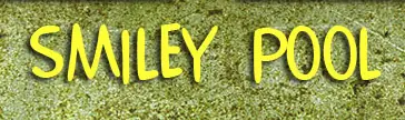 Smiley Pool logo