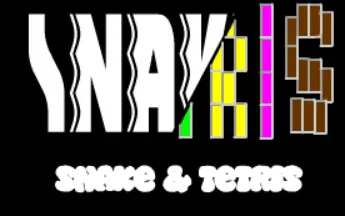 Snake & Tetris logo