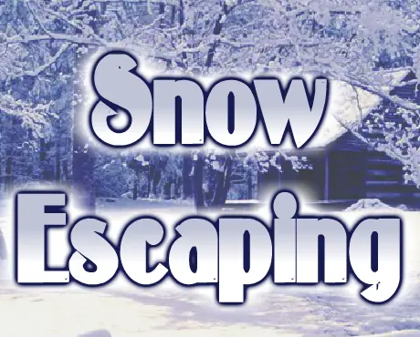 Snow Escaping logo