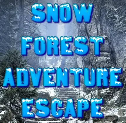 Snow Forest Adventure Escape logo