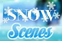 Snow Scenes logo