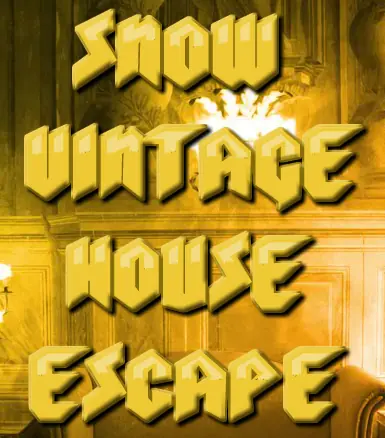 Snow Vintage House Escape logo