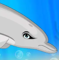Snowbristle Dolphin Maker logo