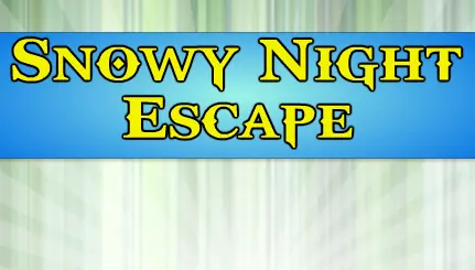 Snowy Night Escape logo