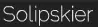 Solipskier logo
