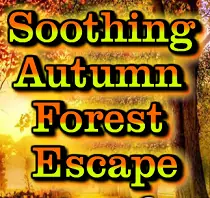 Soothing Autumn Forest Escape logo