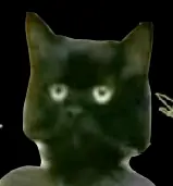 Spaghetti Cat-The Game -flash- logo