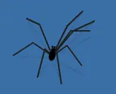 Spider logo