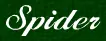 Spider logo