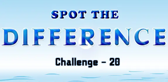 Spot the Difference - 20 logo