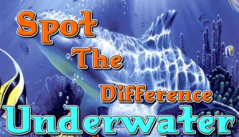 Spot the Difference - Underwater logo