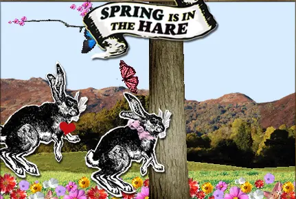 Spring is in the Hare logo