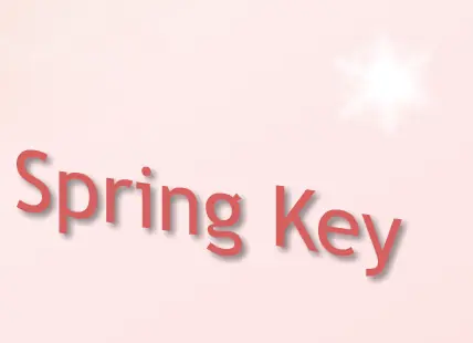 Spring Key logo