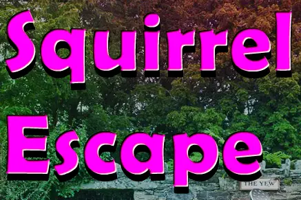 Squirrel Escape logo