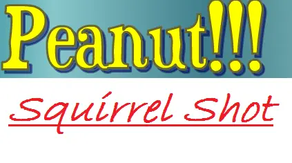 Squirrel Shot logo