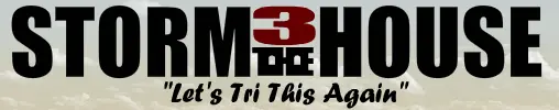 Storm the House 3 logo