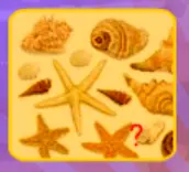 Summer Memmory Game logo
