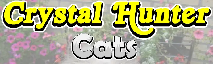 Super Sneaky Spy Guy: Crystal Hunter: Cats logo