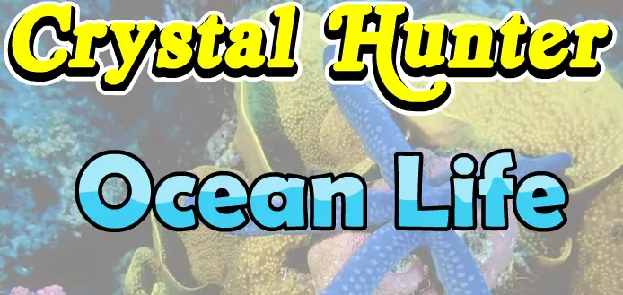 Super Sneaky Spy Guy: Crystal Hunter: Ocean Life logo