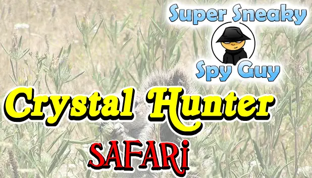 Super Sneaky Spy Guy: Crystal Hunter: Safari logo