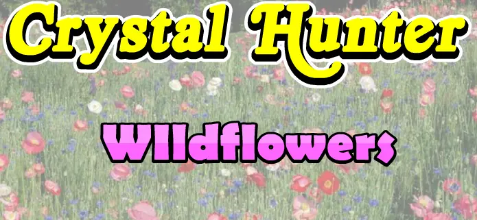 Super Sneaky Spy Guy: Crystal Hunter: Wildflowers logo