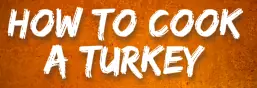 Surgery Squad: How to Cook a Turkey logo