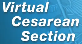 Surgery Squad: Virtual Cesarean Section logo
