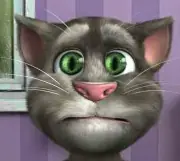 Talking Tom Cat 2 logo