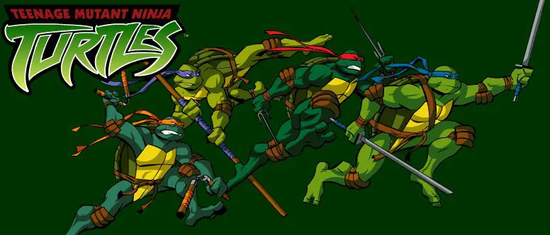 Teenage Mutant Ninja Turtles: Ninja Stars logo