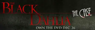 The Black Dahlia: The Case logo
