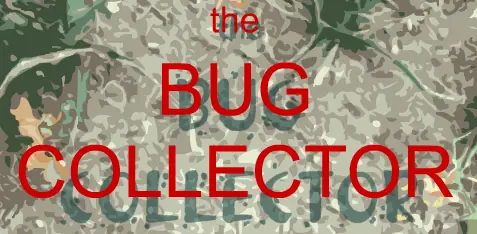 The Bug Collector logo