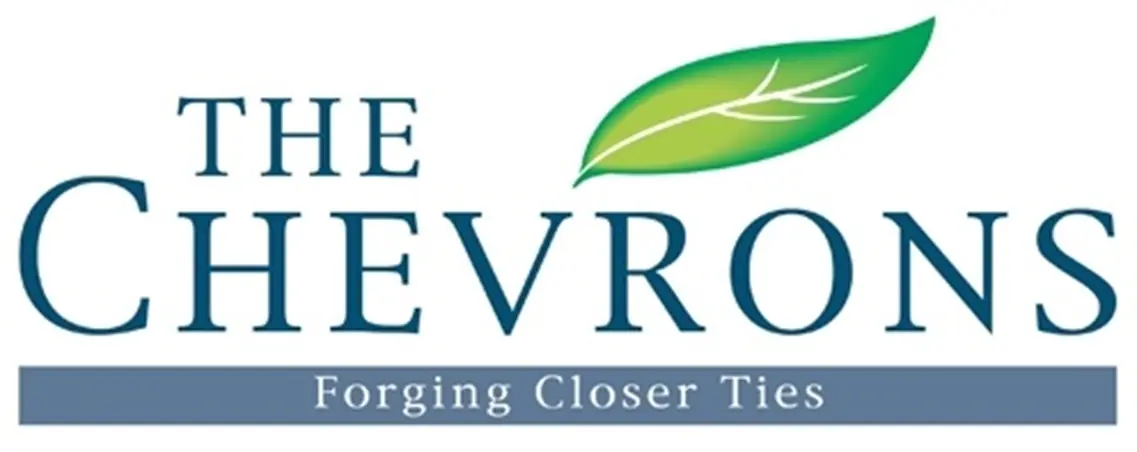 The Chevrons - Atrium Virtual Reality Image logo