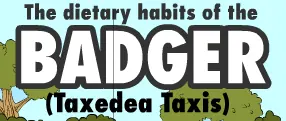 The Dietary Habits of the Badger (Taxedea Taxis) logo