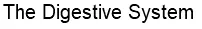 The Digestive System logo