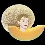 The Facade Trip Interactive Ragdoll Cantaloupe logo