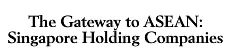 The Gateway to ASEAN: Singapore Holding Companies Book Preview logo