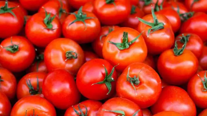The Infinite Tomato logo