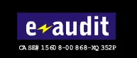 The Jamie Kennedy Experiment: e-audit logo