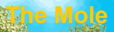 The Mole logo