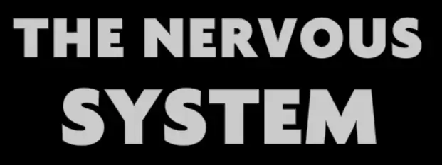 The Nervous System logo