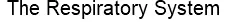 The Respiratory System logo